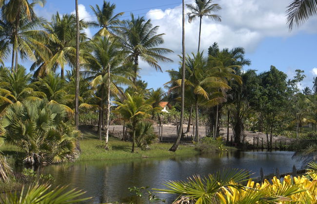 TOKAYA CLUB - Foto 30