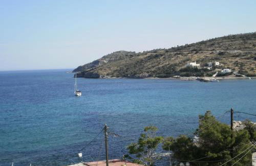 Sunrise Flora - Foto 40