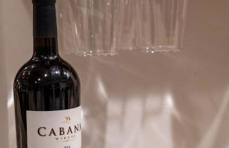 Homestead Villa - HotTub & Sauna Retreat - Foto 19