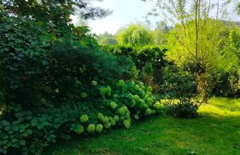 Domek pod Wiewiórką digital detox & balance - Foto 10