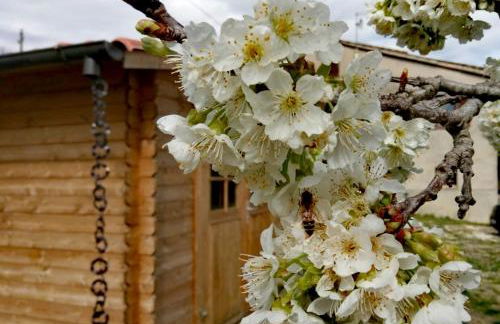 Oasi delle Gazze - Foto 21