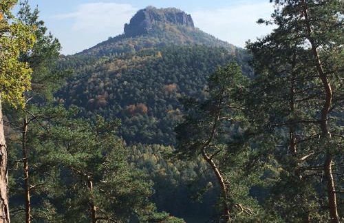 Ferienwohnung Möckel - Foto 23