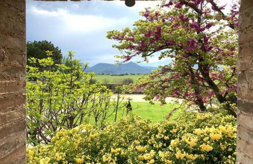 Le verger de Génas - Foto 36