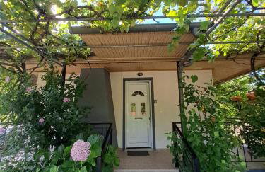 Rivers' house Tzoumerka - Foto 1