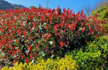 Casa Tarrío con Piscina - Santiago de Compostela - Photo 80