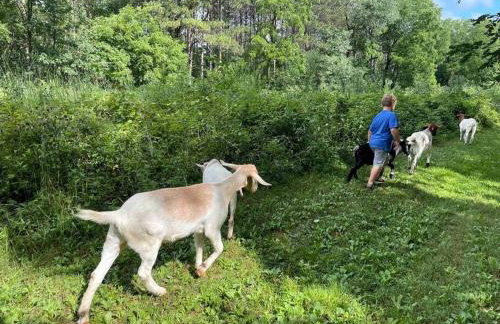 Gorgeous cabin 3bdrm/3bth, hot tub, fireplace, kid/pet friendly - Foto 7