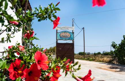 Maestralia - Photo 30