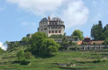 Lac d'Annecy, entre lac et montagne - Foto 9