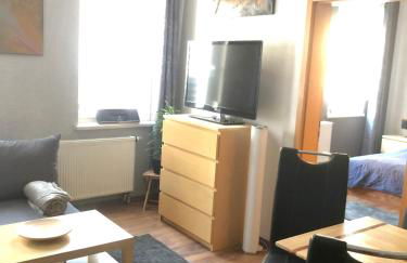 Delux Ferienwohnung Kunstgalerie und Ilmradweg - Photo 3