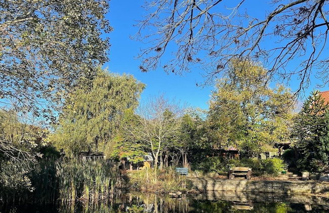 The Little Hide - Adult Only Camping Pods - Photo 36