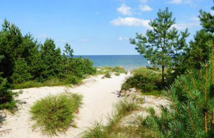 Gut-Rattelvitz-Galerie-D-hochwertig-Sauna-Kamin-eTankstelle-Spielscheune-15-000qm-Parkland - Photo 24