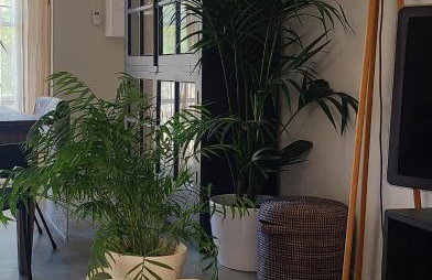 Saskia's loft Mazan -Studio cosy au calme proche du Ventoux - Foto 18