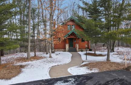 823 Mountain Cabin - Foto 65