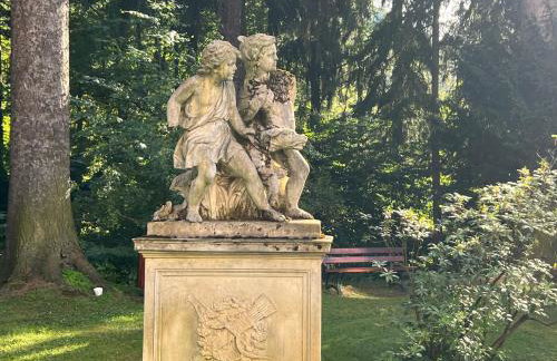 Apartament Empujon Sokołowsko - Foto 34