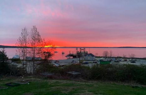 Eco-friendly studio - ocean views, close to beach - Foto 14