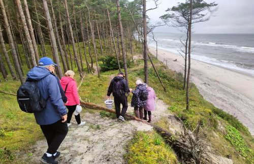 Siedlisko Wytowno - Foto 40