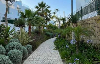 Casa Zorro - Experience Luxury - Photo 17