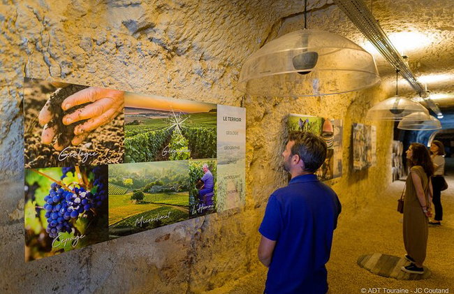 "BODEGAS AMBACIA", Tour y Cata de Vinos en Amboise, Valle del Loira - Foto 9