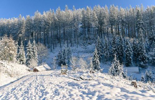 Tiny House Nature 12 - Green Tiny Village Harz - Foto 29