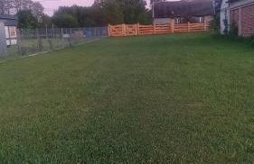 Siedlisko Magnolia - Foto 61