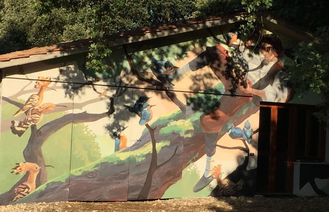 Silence and Relaxation in the Countryside of Umbria - Photo 19