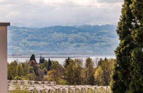 Ferienwohnungen Meyer - Foto 26