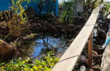 La Somadita Tinizara - Foto 35