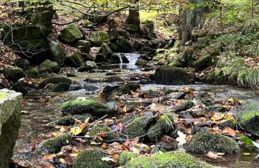 Galena i Gnejs - Foto 48