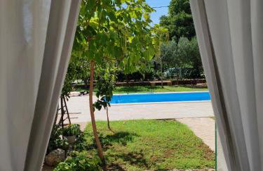 Šimun&Jakov - Foto 41