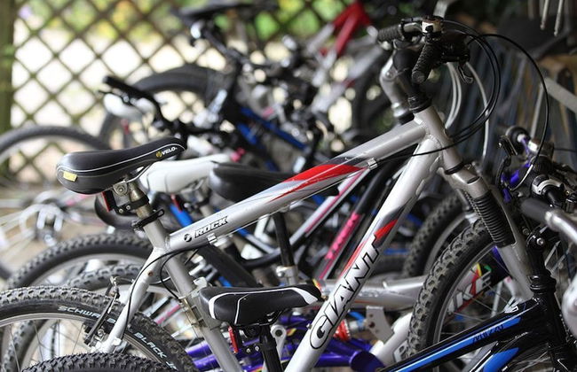 Weir Cottage - Photo 20