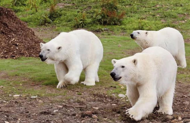 2 Bed Barn Alton Towers Xmas Markets Chatsworth - Foto 12