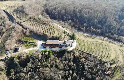 Bosco Romagno - Foto 11