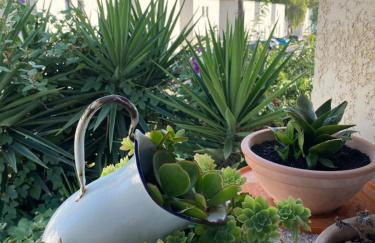 Casa Sole e Mare - Foto 42