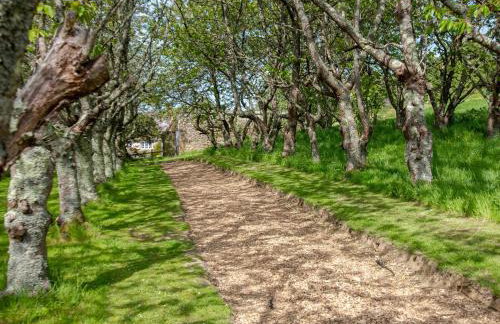 Skylark Yurt - Ukc6946 - Foto 16