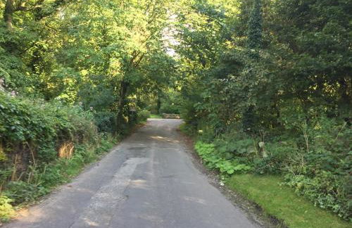 Country Retreat - Photo 18