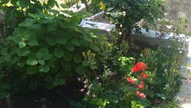 Apartment Pud Oreh - Foto 3, Garden