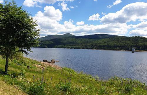 Haus Bergblick - Foto 74