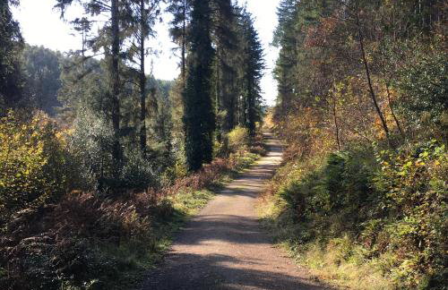 Romantic, secluded cottage in Cardinham Woods, Cornwall - Foto 15