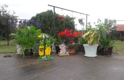 Ferienwohnung Junghanns - Foto 13