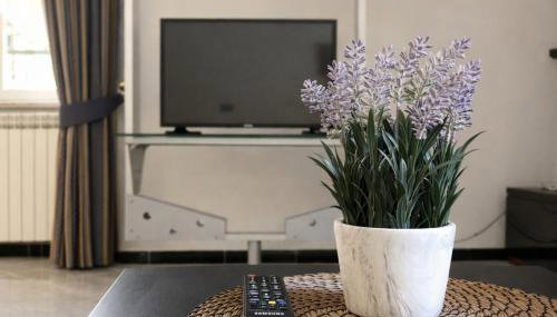 Josephine House - Foto 5