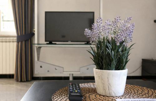 Josephine House - Foto 5