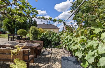 Weingut Harald Ludwig - Foto 8