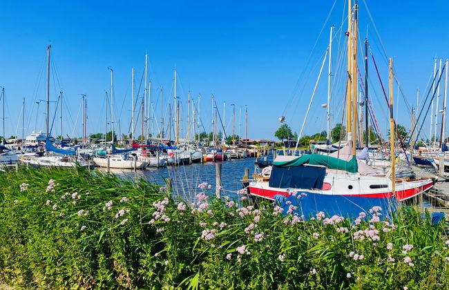 Jachthaven Oostmahorn - Foto 4