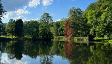 Private apartment in historic castle from 1608 with tenniscourt - Foto 3, Garden