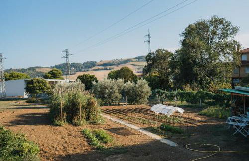 Casa degli Ulivi - Apartment B - Foto 2