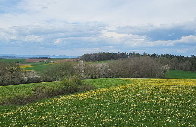 Relaxing Holiday Home in Willersdorf in the Forest - Photo 73