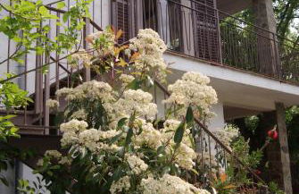 Apartamento con encanto l'Estany 2 - Foto 1