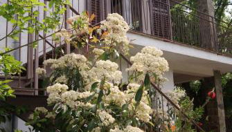 Apartamento con encanto l'Estany 2 - Foto 1