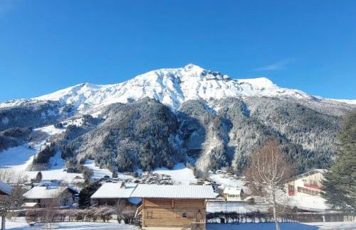 Magnifique chalet mitoyen - Jacuzzi - Cousinade II - Photo 14