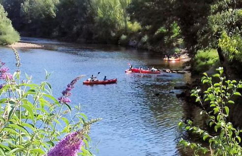 L'Oustalou - Gîte entre Lot et Truyère - Photo 17
